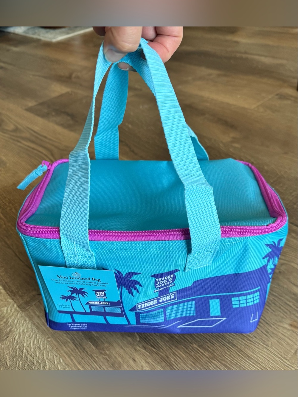 NWT Trader Joe’s Insulated Bag - Turquoise with Purple Lining and Pink Trim